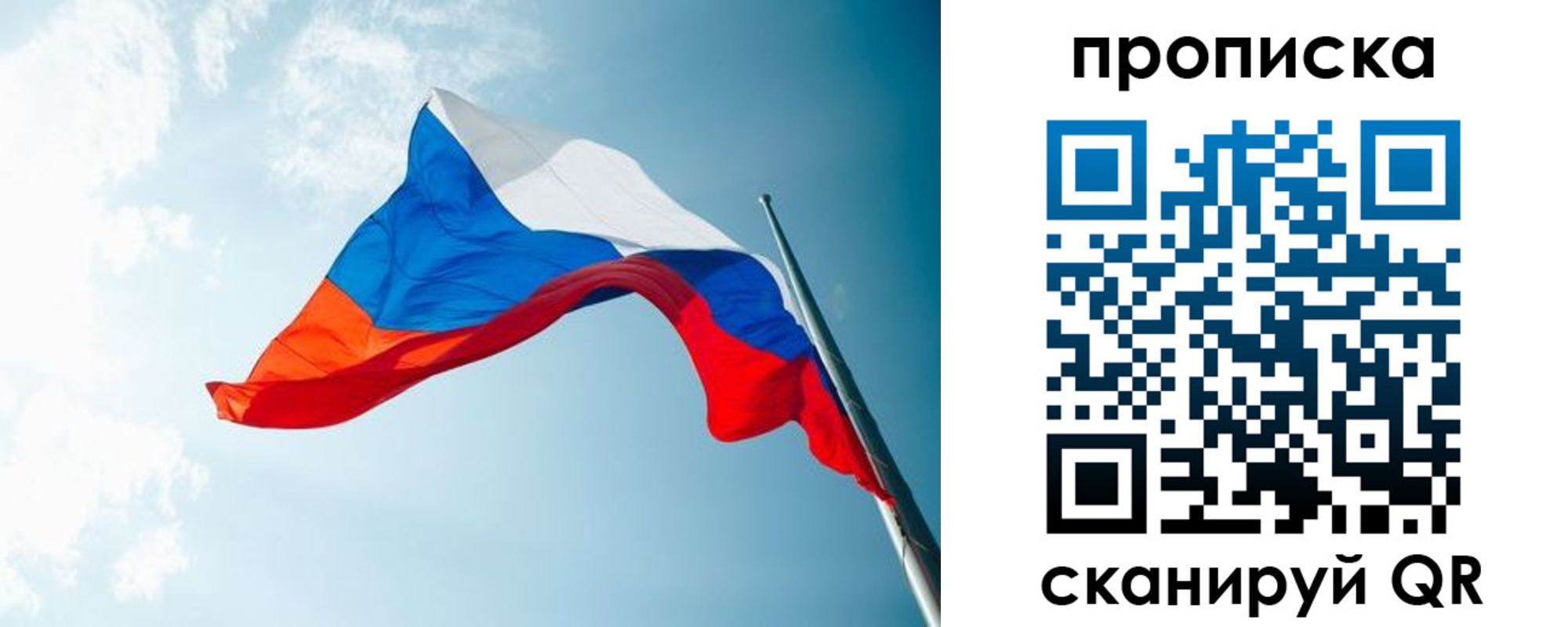 найти адрес прописки в Сольцах